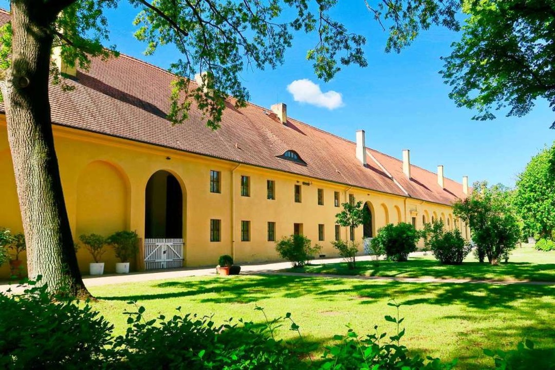 Märchenhafte Landschaftsbilder im Gartenreich DessauWörlitz Reise