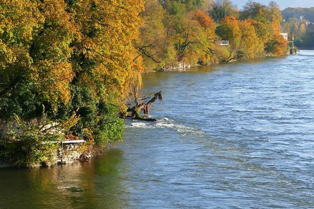 Im Rheinfelder Stadtteil Warmbach wns...hr Zustiegsmglichkeiten in den Fluss.  | Foto: Ingrid Bhm