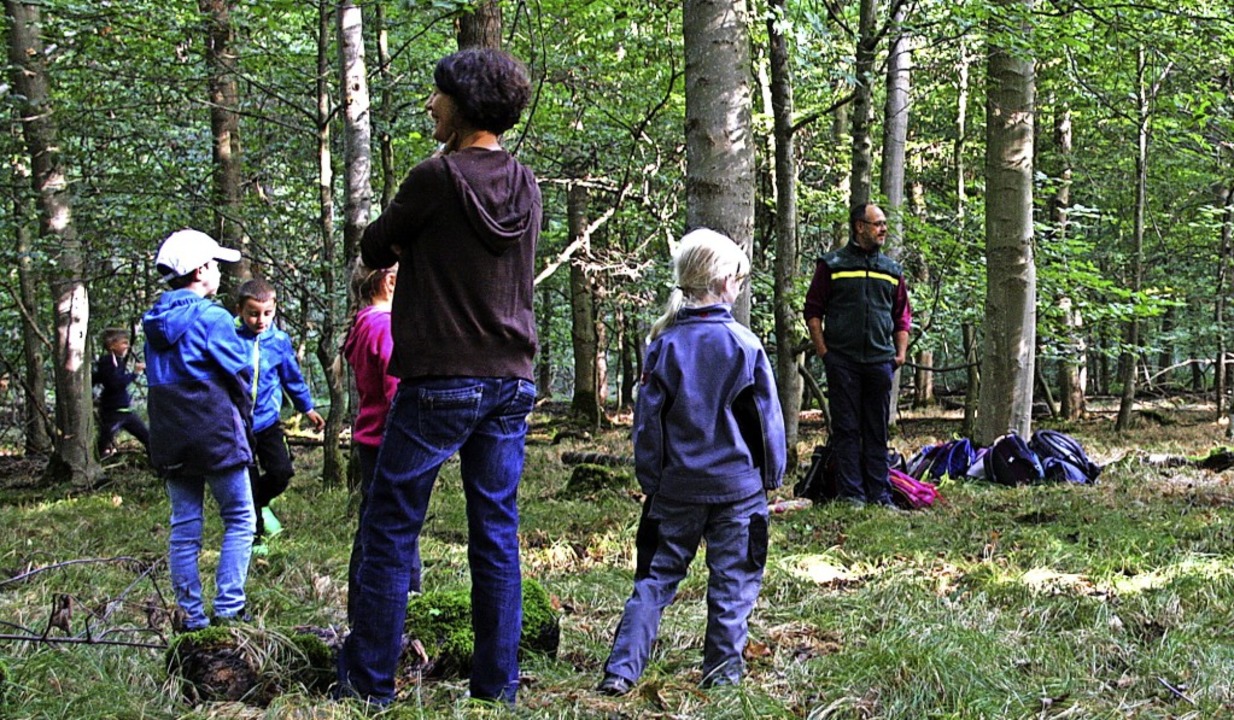 Kinder lernten unter fachlicher Anweisung den Wald kennen.   | Foto: Christiane Franz