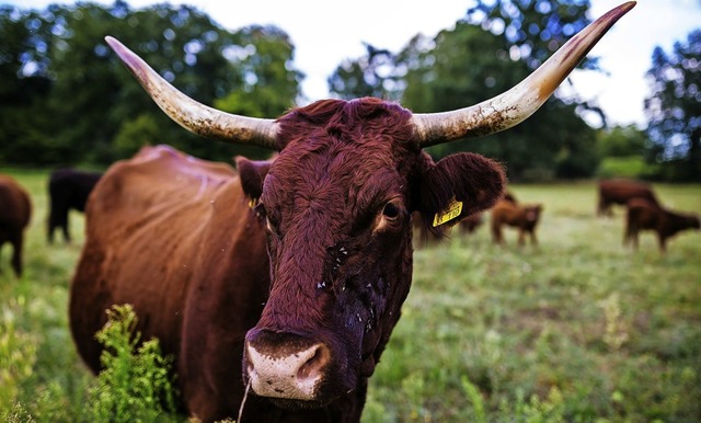   | Foto: Philipp von Ditfurth (dpa)