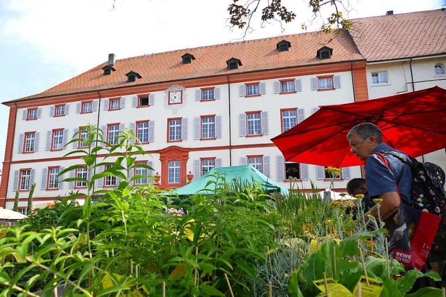 Die Diga findet erstmals im Sptsommer statt und unter besonderen Bedingungen.  | Foto: Ralf H. Dorweiler