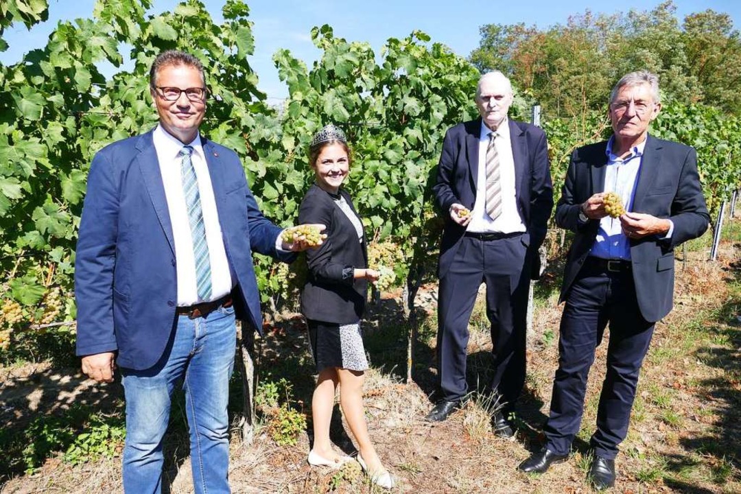 Baden-Württembergs Landwirtschaftsmini...alität der Trauben des Jahrgangs 2020.  | Foto: Gerold Zink