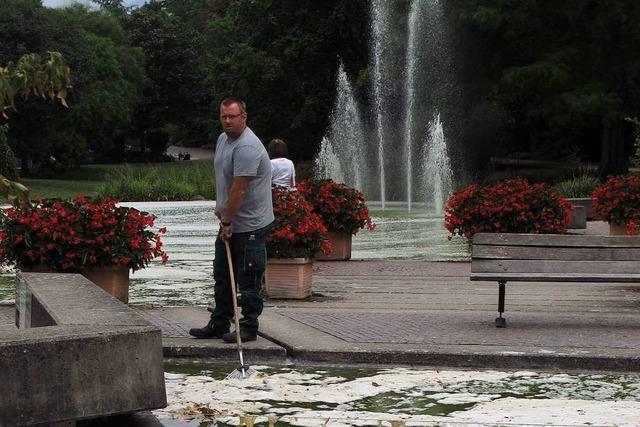 Warum der Teich im Bad Bellinger Kurpark schaumig ist