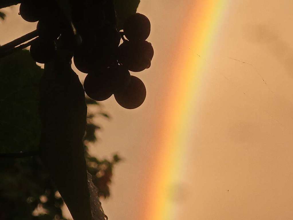 Am Tllinger fotografierte Helmut Porsche einen groartigen Regenbogen.