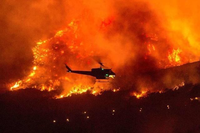Eingeschlossene Camper befreit – Waldbrände in Kalifornien breiten sich rasch aus