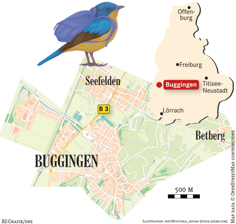 Kino Buggingen Kino Buggingen