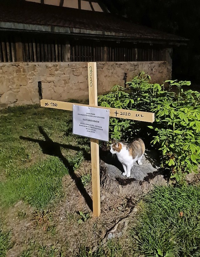 Ein Kreuz fr den gefllten Baum  | Foto: Hanspeter Lais