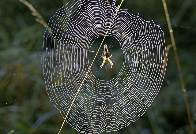   | Foto: Wolfgang Zengler