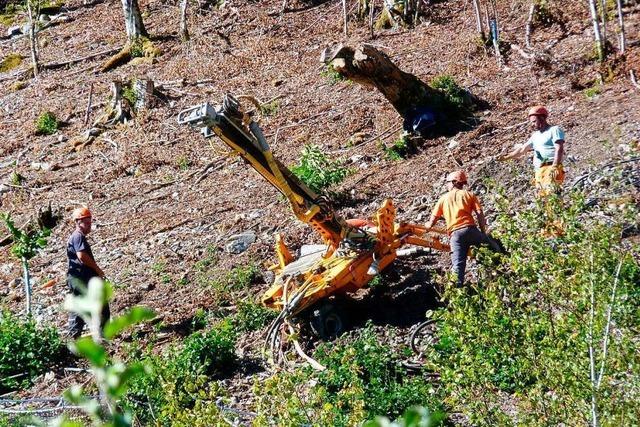 Hochenergiezaun soll Geschwend vor weiteren Felsstrzen schtzen