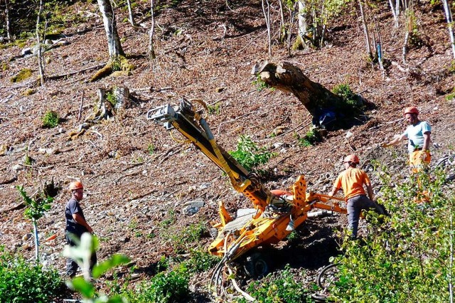 Drei Arbeitskolonnen  sind oberhalb de...herheitszaun wurde der Wald gelichtet.  | Foto: Dirk Sattelberger