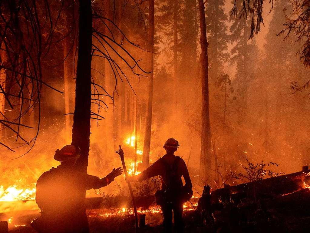 In ganz Kalifornien waren laut einem Lagebericht der Feuerwehr von Sonntag zuletzt mehr als 14 800 Einsatzkrfte damit beschftigt, 23 grere Brnde einzudmmen.