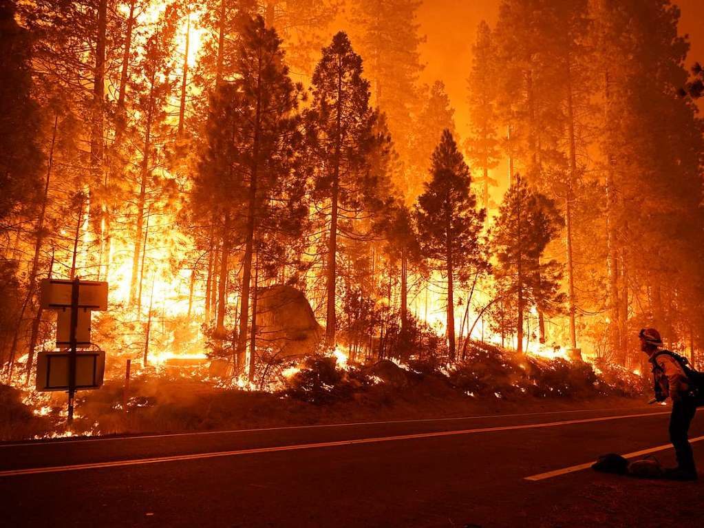 Mehrere Tausend Quadratkilometer Wald und Buch sind bereits vernichtet – und das sogenannte Bear Fire breitet sich noch weiter aus. Die Bundesstaaten Kalifornien, Oregon und Washington sind betroffen.