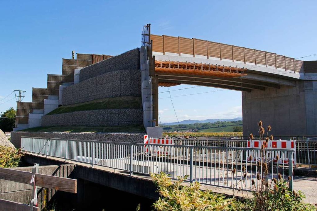 ber die neue Brcke sollen die Fleder... Jagdgrnden im Rheintalbahn gelangen.  | Foto: Alexander Huber