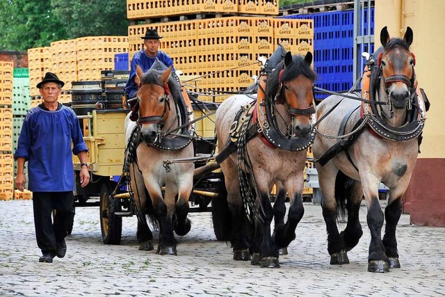 Die Ganter-Pferde mit ihrer Kutsche vor der Brauerei (Archivbild).  | Foto: Ingo Schneider
