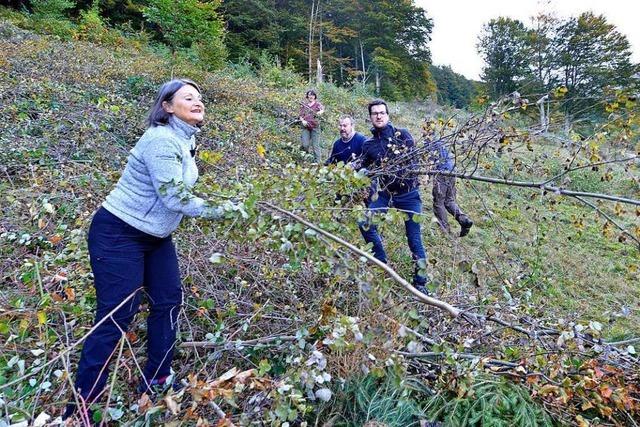 Freiburg-Kappler sollen mithelfen, dass Weiden nicht zuwachsen