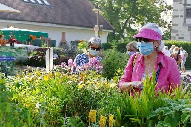 Fotos: Die Gartenmesse Diga in Rheinfelden