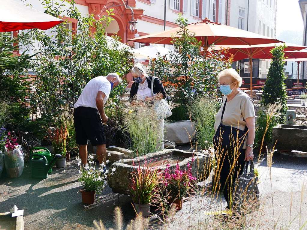 Nicht nur einzelne Pflanzen, auch Gartenkonzepte gibt es auf der Diga zu sehen.