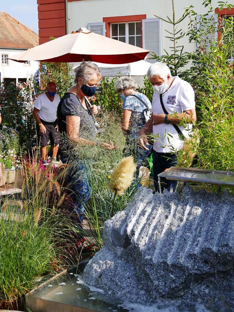 Nicht nur einzelne Pflanzen, auch Gartenkonzepte gibt es auf der Diga zu sehen.