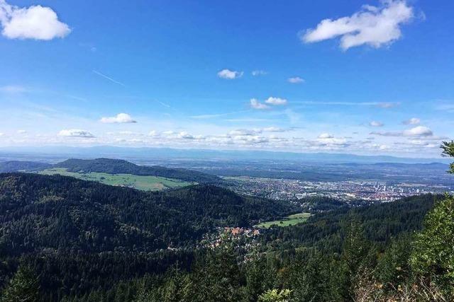 Heimaturlaub: 3 wunderbar herbstliche Wanderungen rund um Freiburg