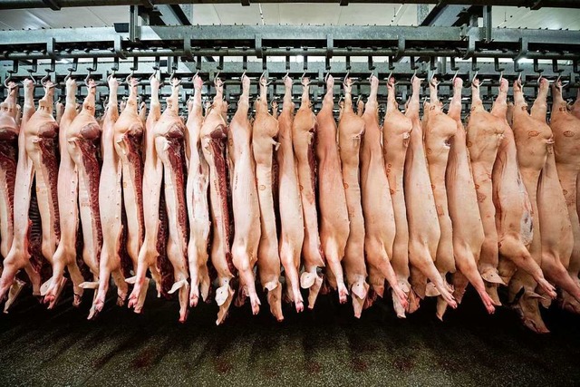 Nach dem ersten Fall der Afrikanischen...r deutsches Schweinefleisch verhngt.  | Foto: Mohssen Assanimoghaddam (dpa)