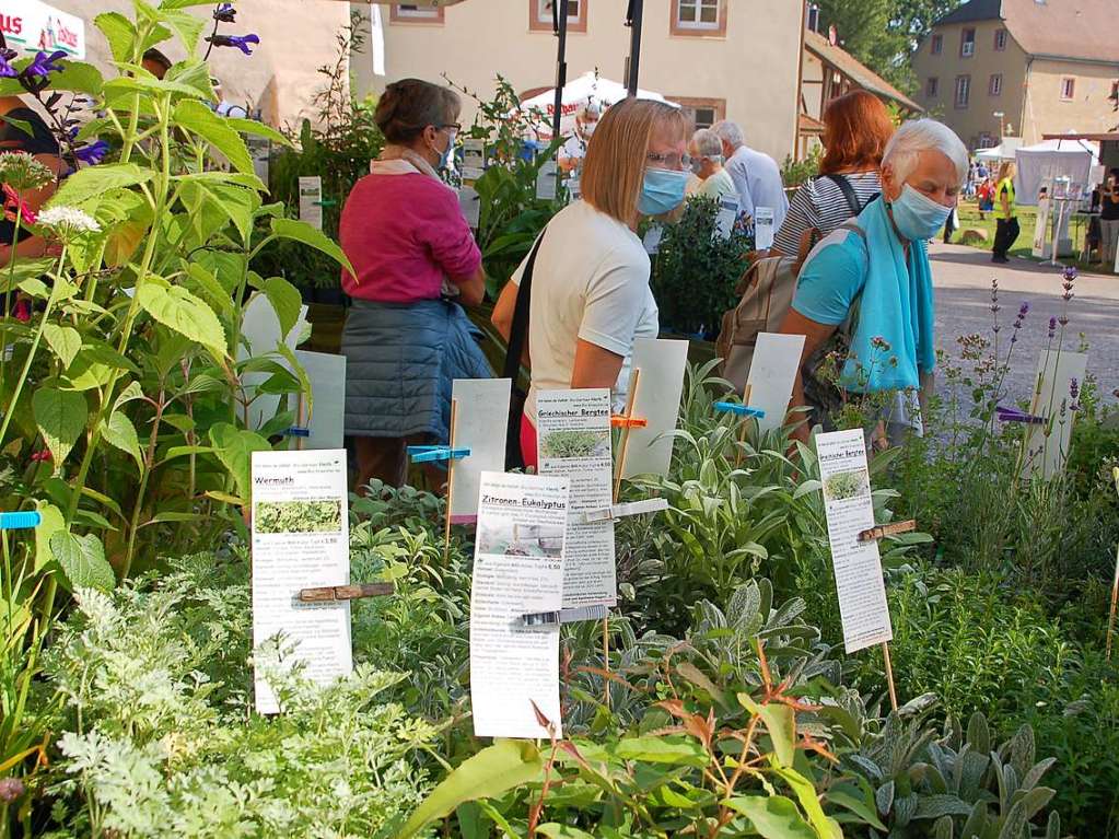 Die Diga 2020: Eine Messe unter besonderen Bedingungen