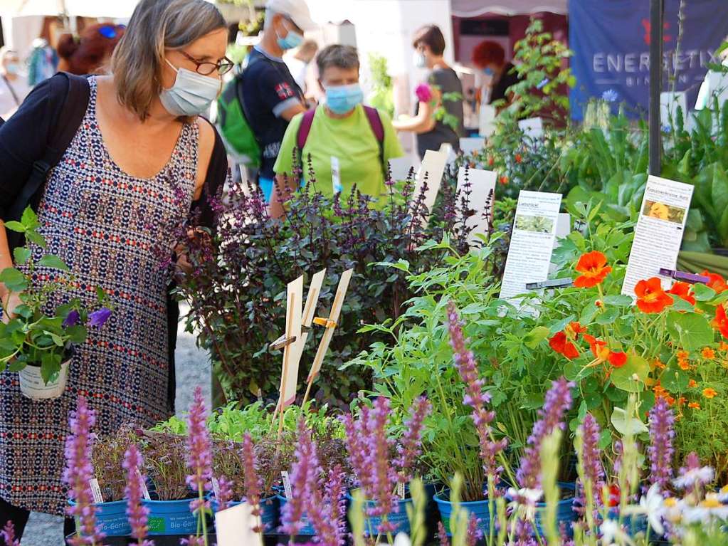 Die Diga 2020: Eine Messe unter besonderen Bedingungen