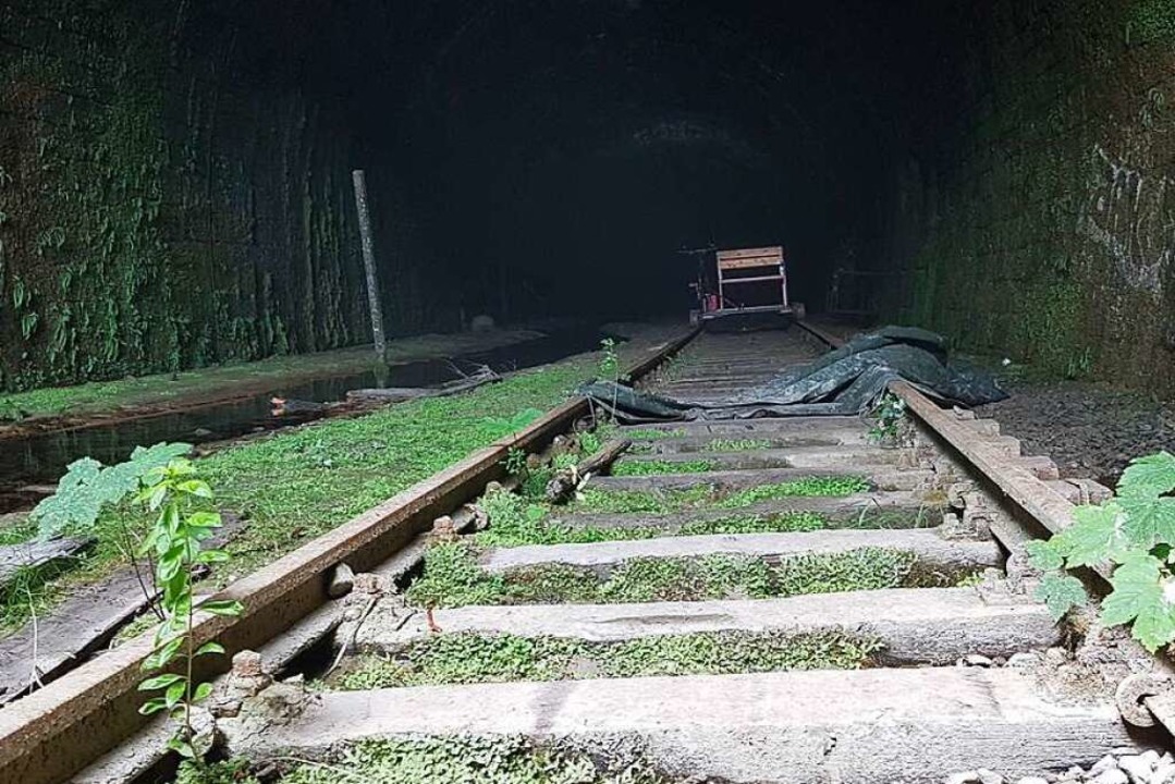 Am Tunnelportal in Hasel verschwinden die Gleise im Dinkelberg.  | Foto: Gerald Nill