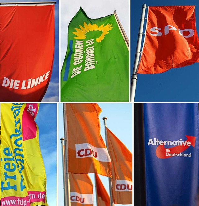 Flaggen der grten deutschen Parteien  | Foto: Julian Stratenschulte