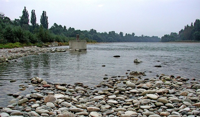 Auch sie sind in Bewegung: Rheinkiesel bei Griheim unterwegs zum Meer  | Foto: Dorothee Philipp