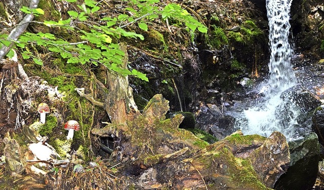 Todtnauer Wasserfall statt Niagarafll...rgten fr hohe Umstze im Gastgewerbe.  | Foto: Ulrike Jger