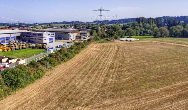 Als wertvoller Lebensraum ist die mehr...ein dauerhafter Zaun errichtet werden.  | Foto: Wilfried Dieckmann