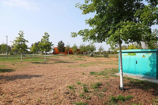 An dieser Stelle sollen die Parkpltze entstehen.  | Foto: Christoph Breithaupt