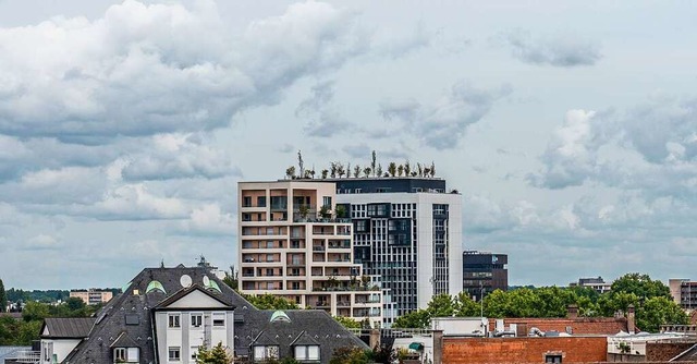 Eichen, Linden, Ahornbume, Buchen, Bi...Hhe auf einem  Hochhaus in Straburg.  | Foto: teli