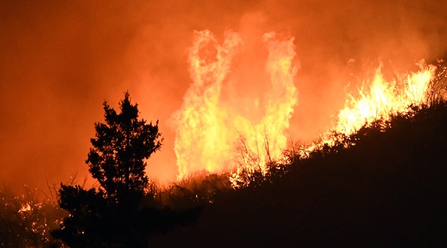 Eines der Feuer nahe Los Angeles  | Foto: Gene Blevins (dpa)