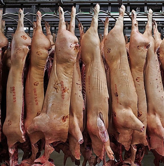 Fleischfabriken stehen in der Kritik.  | Foto: Bernd Thissen