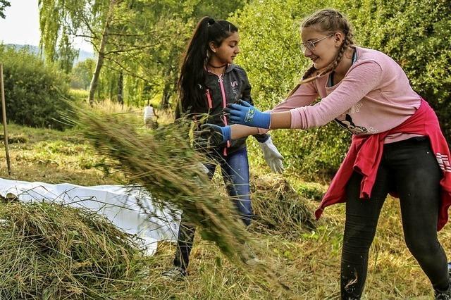 Biotoppflege in Ettenheim