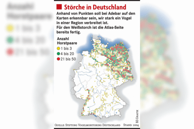 Waldkauz, bitte melde dich