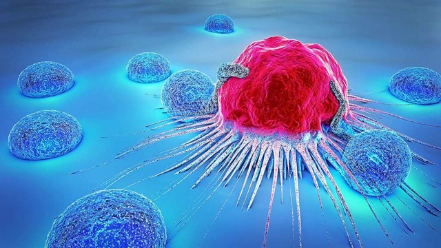 Tgliches Geschft: Eine Tumorzelle wi...setzt die neue Car-T-Zell-Therapie an.  | Foto: Christoph Burgstedt  (stock.adobe.com)