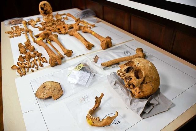 Die archologischen Grabungen an der K...Forschung wird in Laboren fortgefhrt.  | Foto: Thomas Kunz