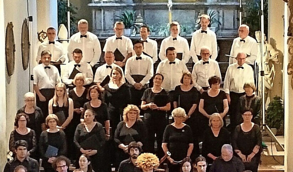 Hat Singen im Chor noch Zukunft? Auch ...urde bei der Diskussion nachgegangen.   | Foto: Susanne Ramm-Weber