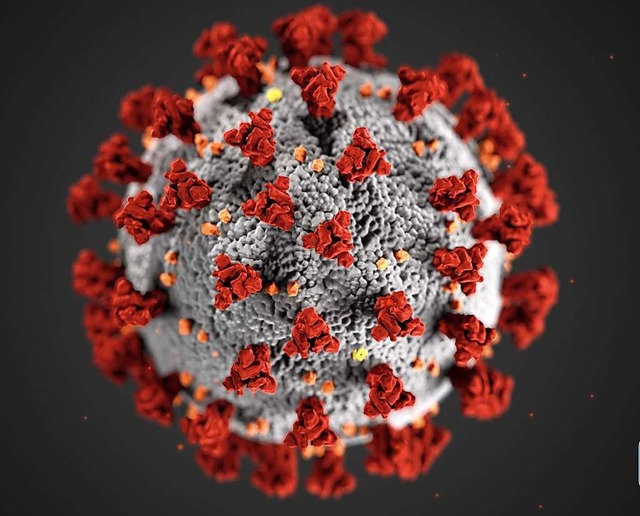 Eine Million Menschenleben hat das Coronavirus bereits gekostet.  | Foto: Cdc (dpa)