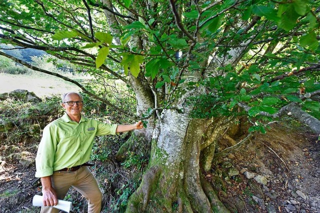 Peter Lutz mit einer markanten Weidbuche.  | Foto: Michael Bamberger