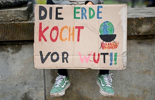 Fr mehr Klimaschutz legen sich alle E...inger Gemeinderatsfraktionen ins Zeug.  | Foto: Britta Pedersen (dpa)