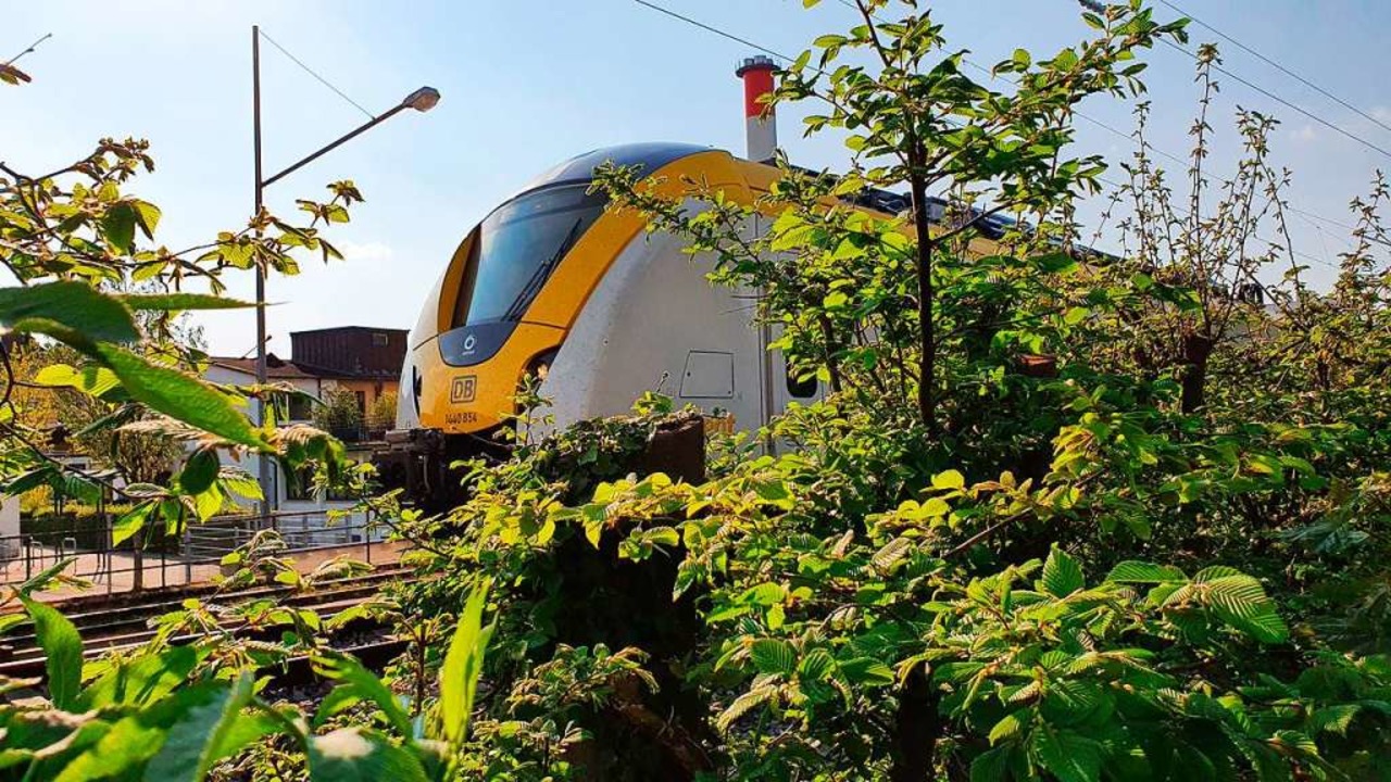Nicht immer kommt die Breisgau-S-Bahn rechtzeitig an.  | Foto: Sebastian Wolfrum
