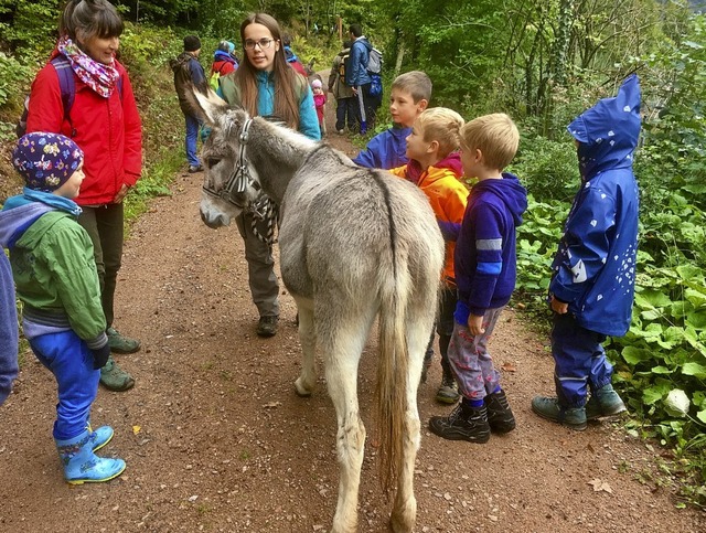 Mit vielen Kindern unterwegs durch den... eine Abwechslung auch fr die Esel.    | Foto: Edwin Dreher