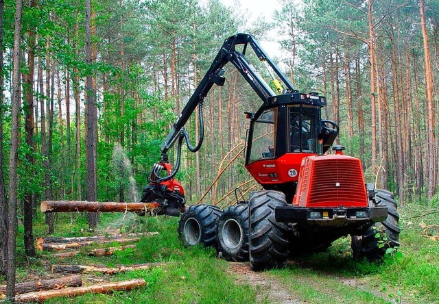 Bei den Baumfllarbeiten an der Autoba... ein Harvester eingesetzt. Symbolbild.  | Foto: Bayerische Staatsforsten