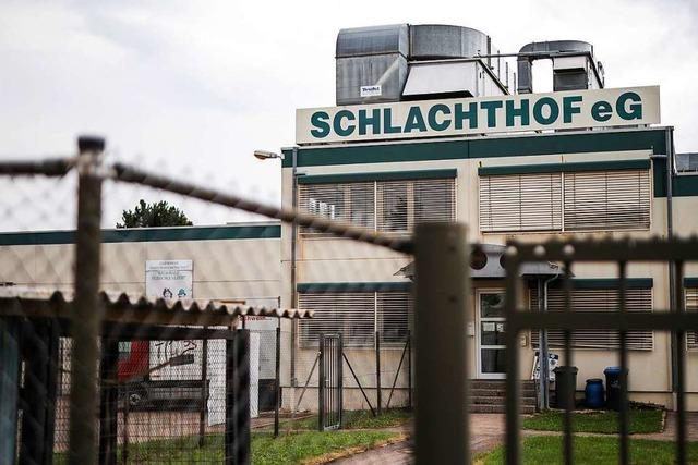 Schlachthof Grtringen noch bis Mitte 2021 geschlossen