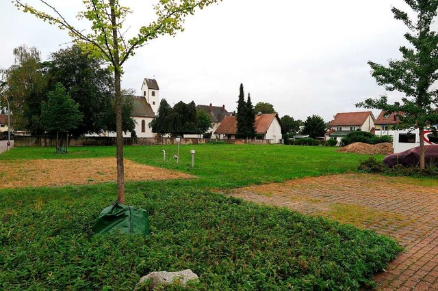 Blick auf die Wiese nrdlich des Fried... im Bild ist ein Lschwasserreservoir.  | Foto: Dorothee Philipp