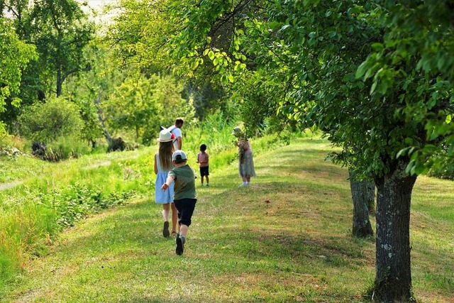 Wanderspa: Durch Streuobstwiesen flitzen auf dem Naturlehrpfad.  | Foto: Silke Kohlmann