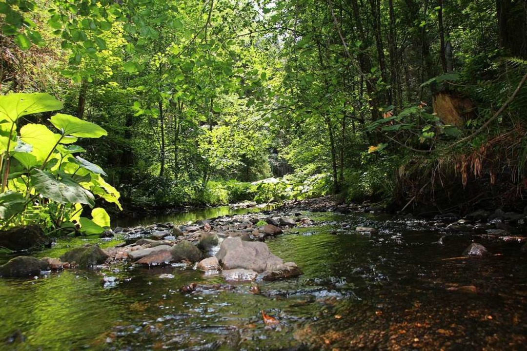 Eine unberhrte Landschaft  | Foto: Michael Saurer